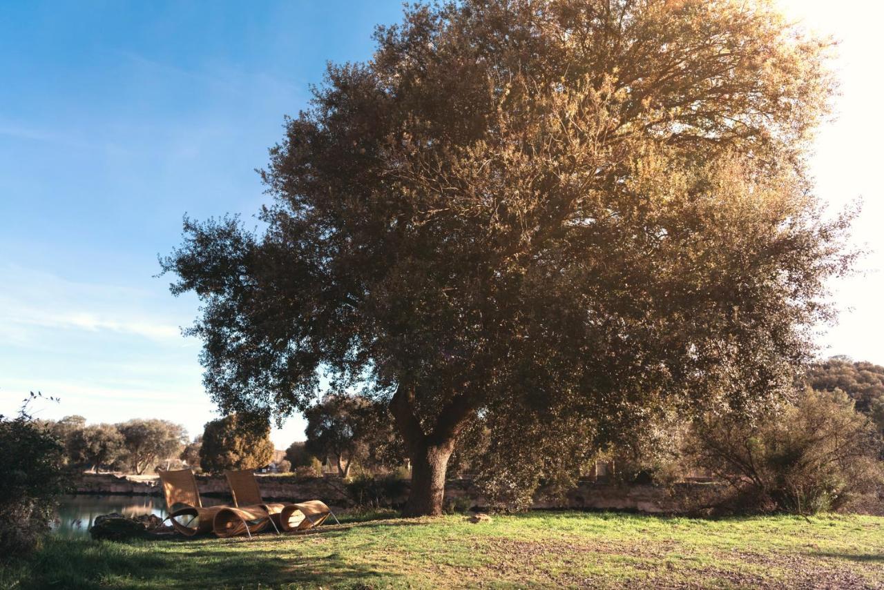 Mirador Del Alba Konuk evi Ossa de Montiel Dış mekan fotoğraf